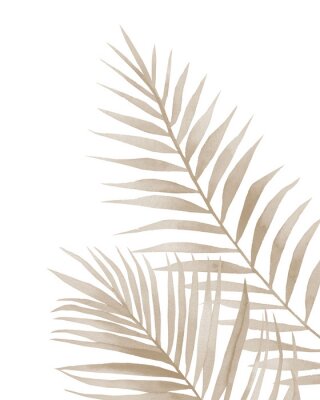 Fotobehang Gedroogde palmbladeren