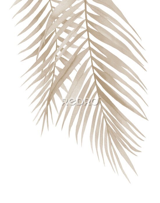 Fotobehang Gedroogde palmbladeren die naar beneden hangen