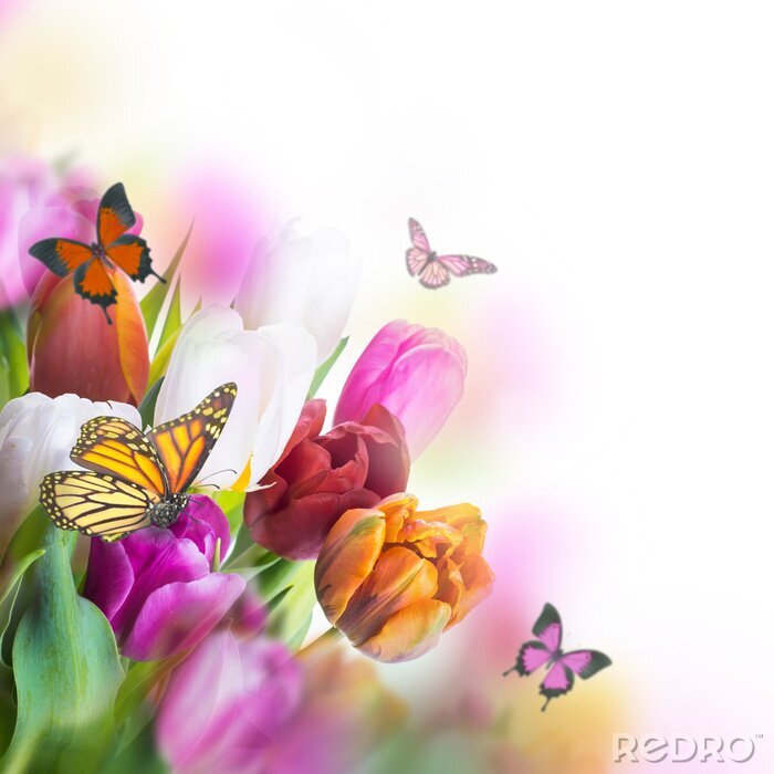 Fotobehang Gekleurde tulpen en vlinders