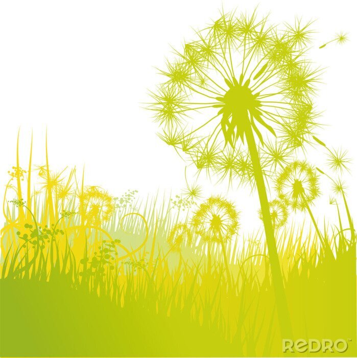 Fotobehang Gele en groene paardenbloemen