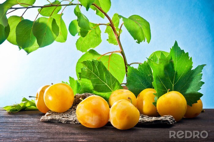 Fotobehang Gele pruimen