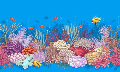Fotobehang Geschilderd koraalrif