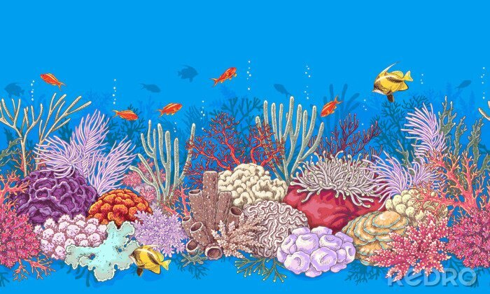 Fotobehang Geschilderd koraalrif