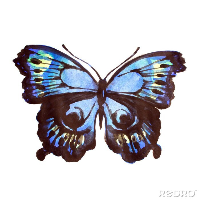 Fotobehang Geschilderde blauwe vlinder