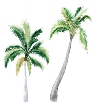 Fotobehang Geschilderde tropische palmbomen