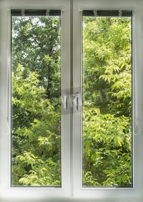 Fotobehang Gesloten witte raam met uitzicht op een groene tuin