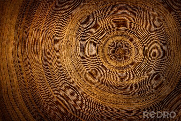 Fotobehang Gesneden hout textuur