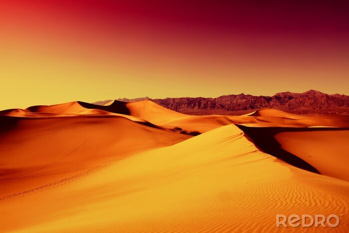 Fotobehang Gesneden pizza