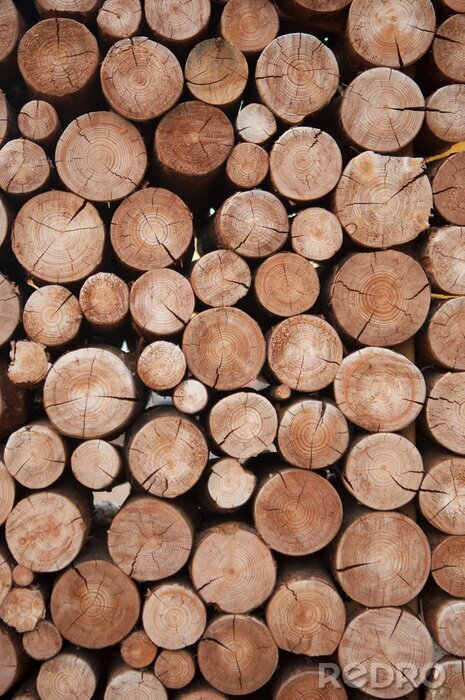 Fotobehang Gestapeld brandhout