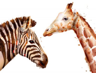 Giraf en zebra