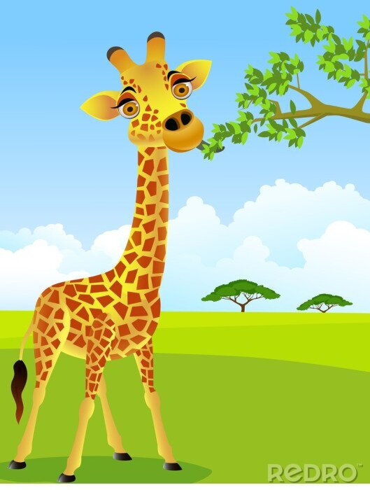 Fotobehang Giraffe bijt een boomtak in de savanne