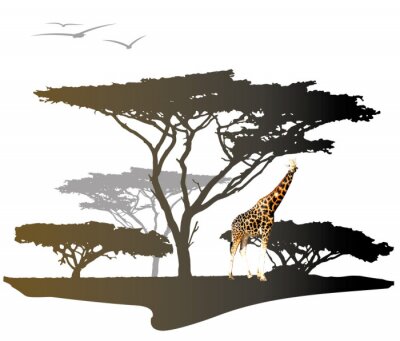 Giraffe met silhouet van de boom