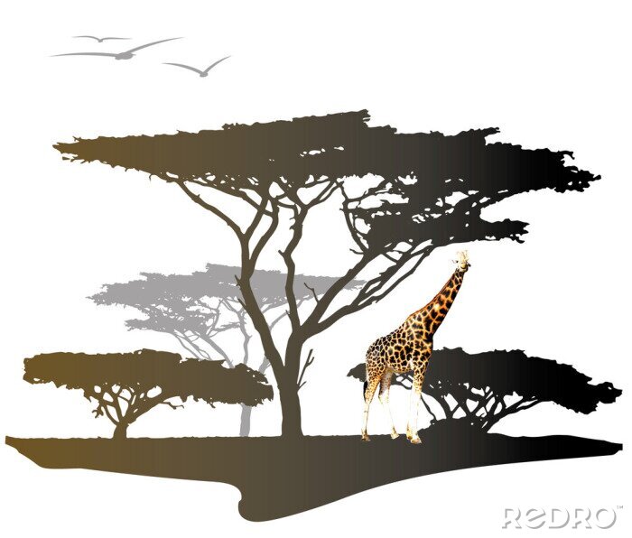 Fotobehang Giraffe met silhouet van de boom