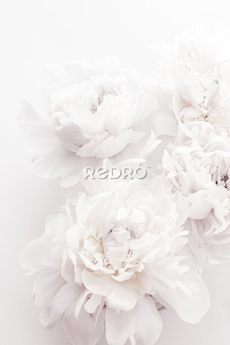 Fotobehang Glamour desing ontwerp met pioenbloemen