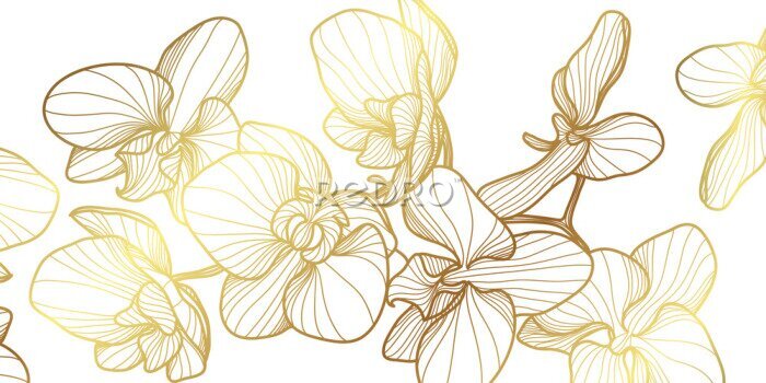 Fotobehang Gouden abstracte orchideeënbloemen op een witte achtergrond