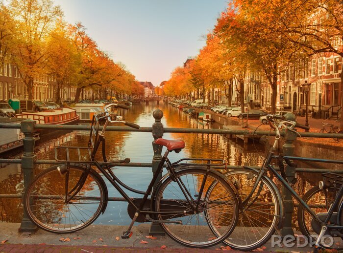 Fotobehang Gouden herfst in Nederland