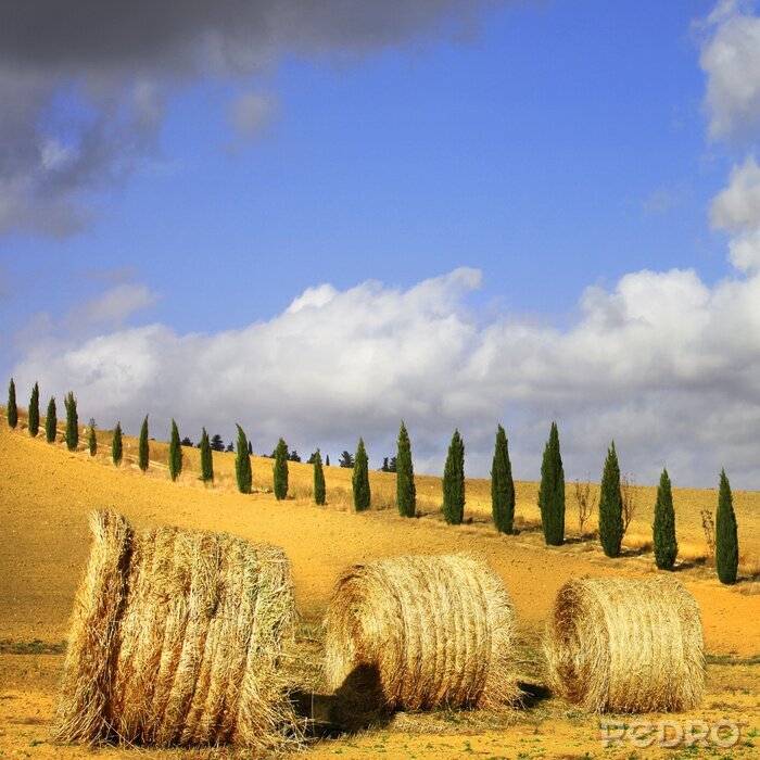 Fotobehang gouden heuvels van Toscane. Italiaanse landschappen
