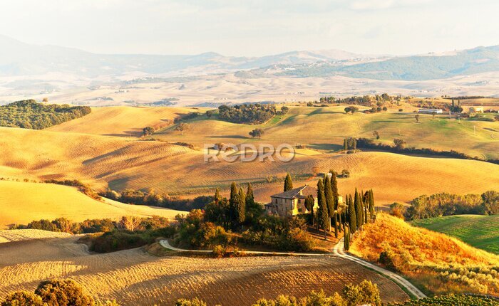 Fotobehang Gouden velden in Toscane