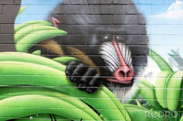 Fotobehang Graffiti met orang-oetan