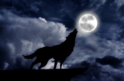 Fotobehang Grafiek met een wolf op een achtergrond van de maan