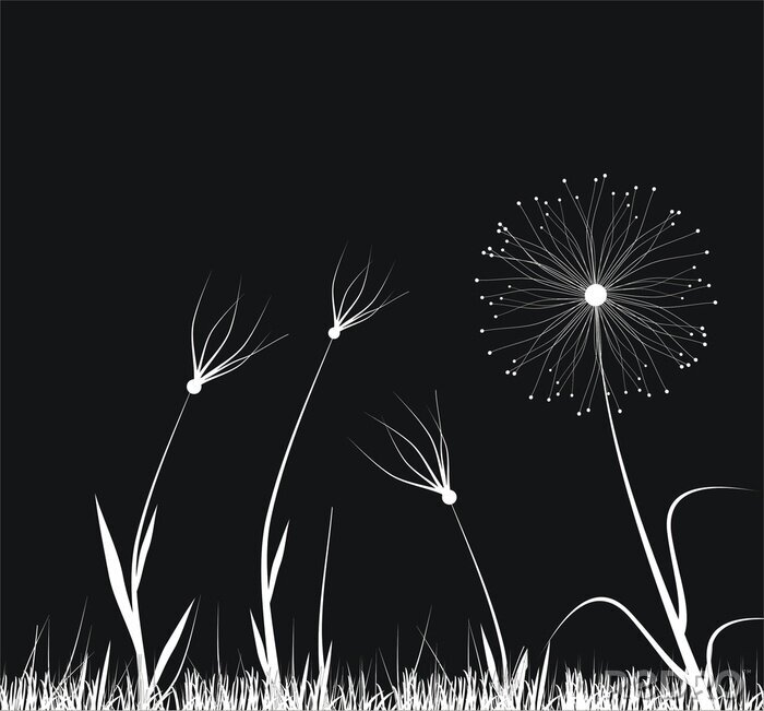 Fotobehang Grafisch met witte bloemen op een zwarte achtergrond