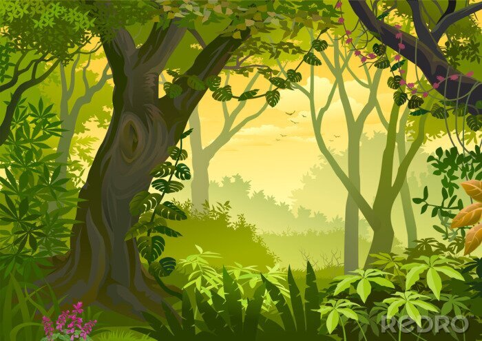 Fotobehang Grafisch oerwoud voor kinderen