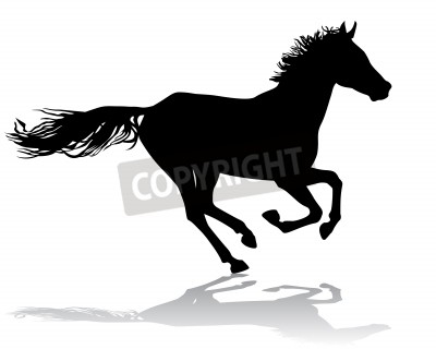 Fotobehang Grafisch zwart paard