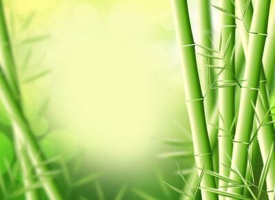 Fotobehang Grafische bamboescheuten