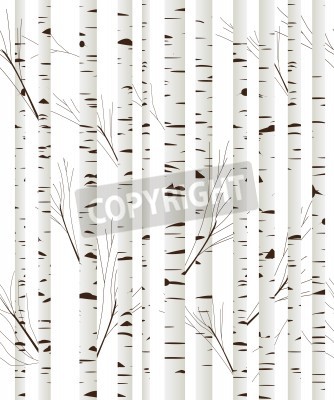 Fotobehang Grafische berkenbomen op witte achtergrond