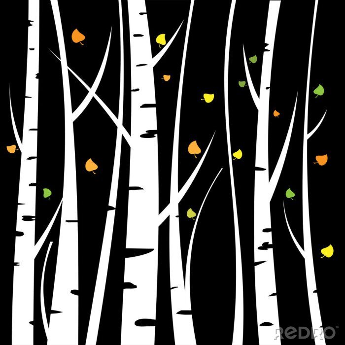 Fotobehang Grafische berkenbomen op zwarte achtergrond