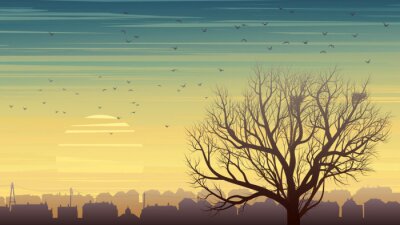 Fotobehang Grafische boom op een achtergrond met zonsondergang