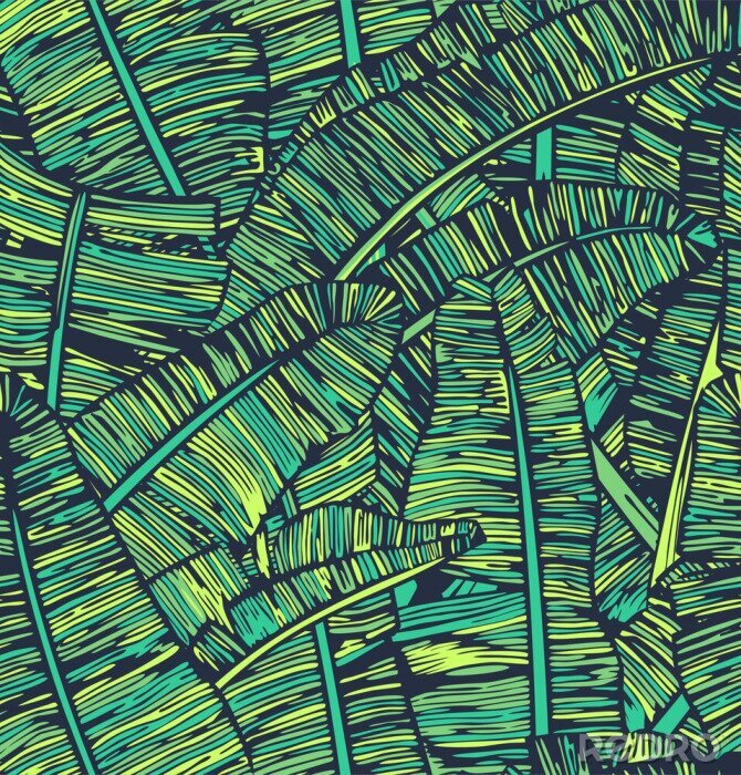 Fotobehang Grafische groene bananenbladeren