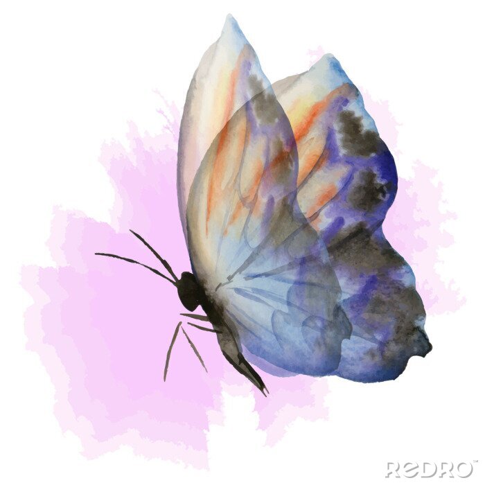Fotobehang Grafische illustratie met een vlinder