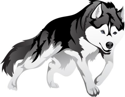Grafische illustratie van een wolf