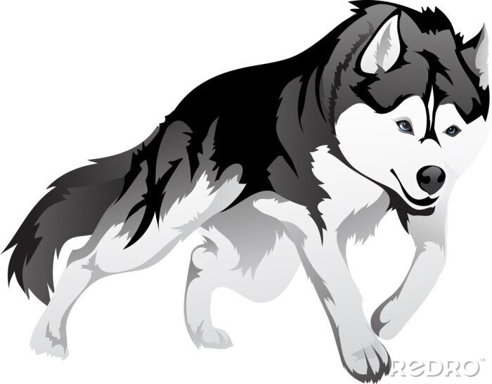 Fotobehang Grafische illustratie van een wolf