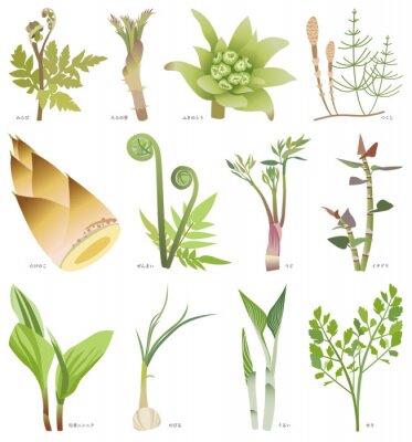 Fotobehang Grafische planten met bijschriften