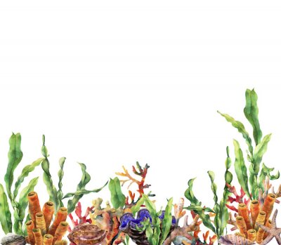 Fotobehang Grafische planten van de oceaanbodem