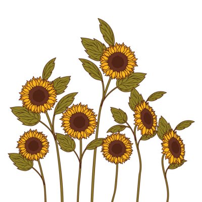 Fotobehang Grafische tuin zonnebloemen