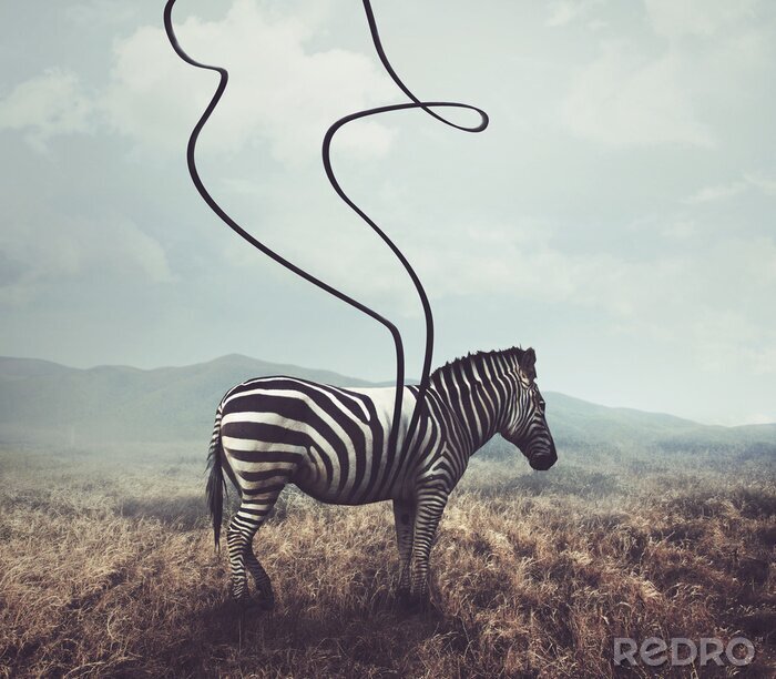 Fotobehang Grafische voorstelling van een zebra