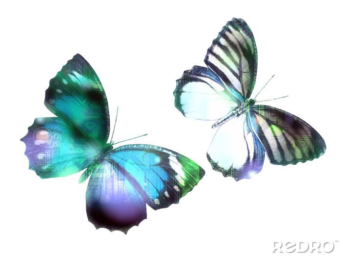 Fotobehang Grafische voorstelling van vlinders