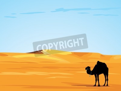 Fotobehang Grafische woestijn en kameel