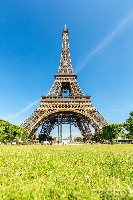 Fotobehang Gras en de Eiffeltoren