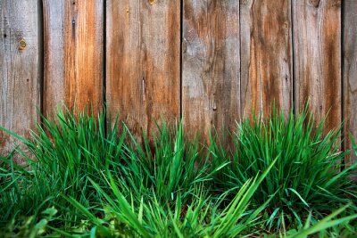 Fotobehang Gras op een achtergrond van hout