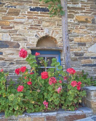Fotobehang Griekenland, Tinos IJsland, stenen muur met blauwe venster en bloemen