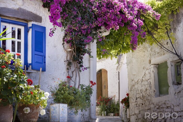 Fotobehang Grieks dorp