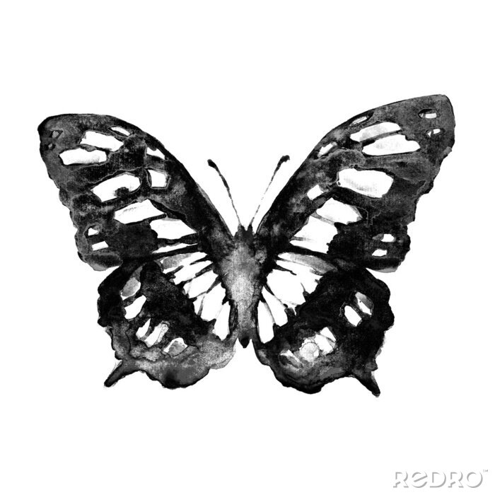 Fotobehang Grijs-witte vlinder op een lichte achtergrond