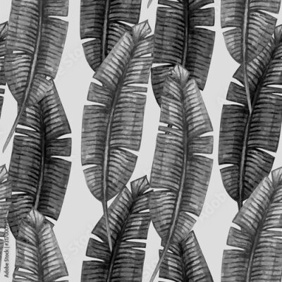 Fotobehang Grijze bladeren van een bananenpalm