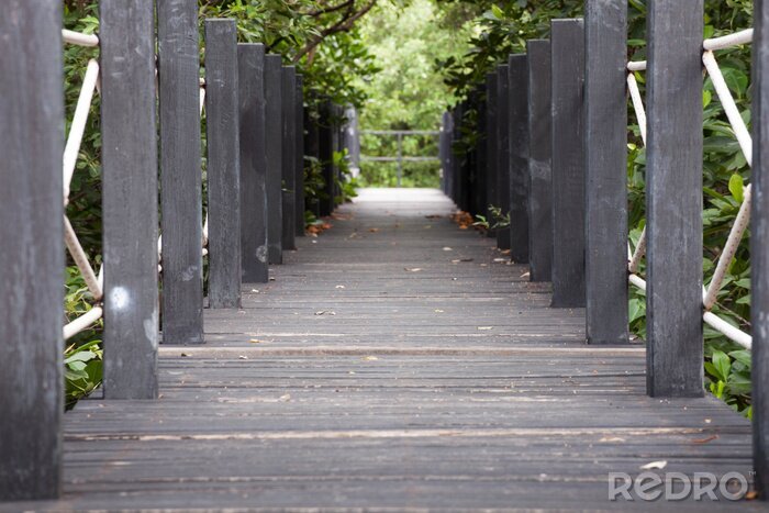 Fotobehang Grijze brug in het bos