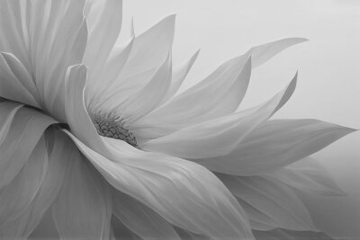 Fotobehang Grijze macrofotografie van een witte bloem