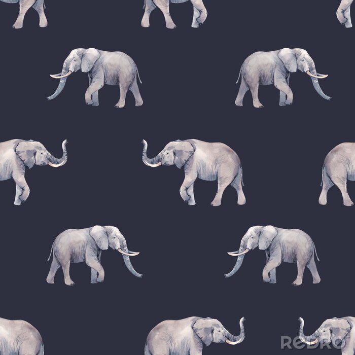Fotobehang Grijze olifanten op een donkere achtergrond